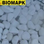 ΒΟΤΣΑΛΟ ΛΕΥΚΟ