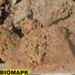 ΒΡΑΧΟΚΗΠΟΣ ΚΑΦΕ