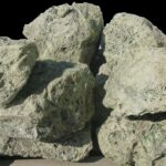 ΒΡΑΧΟΚΗΠΟΣ ΠΡΑΣΙΝΟΣ